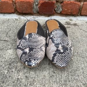Universal Thread Snake Print Mules L Size 8